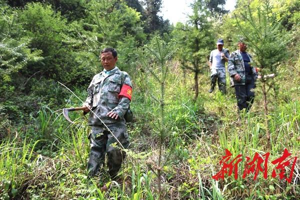 祁东县四明山最新消息(四明山动态：祁东新讯)