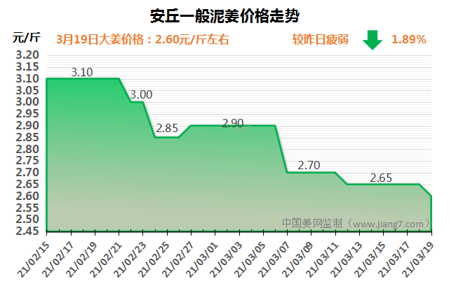 今日安丘大姜市场价格动态