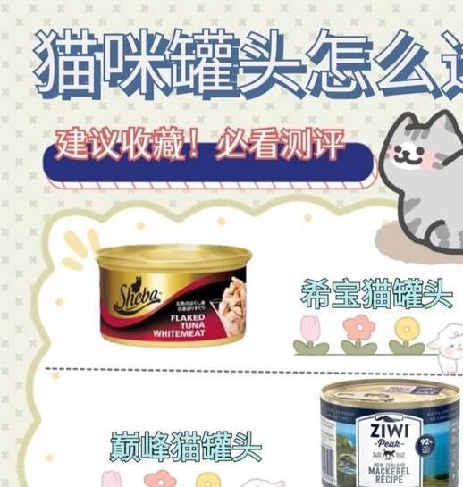 猫咪美食大赏：最新罐头榜单揭晓！